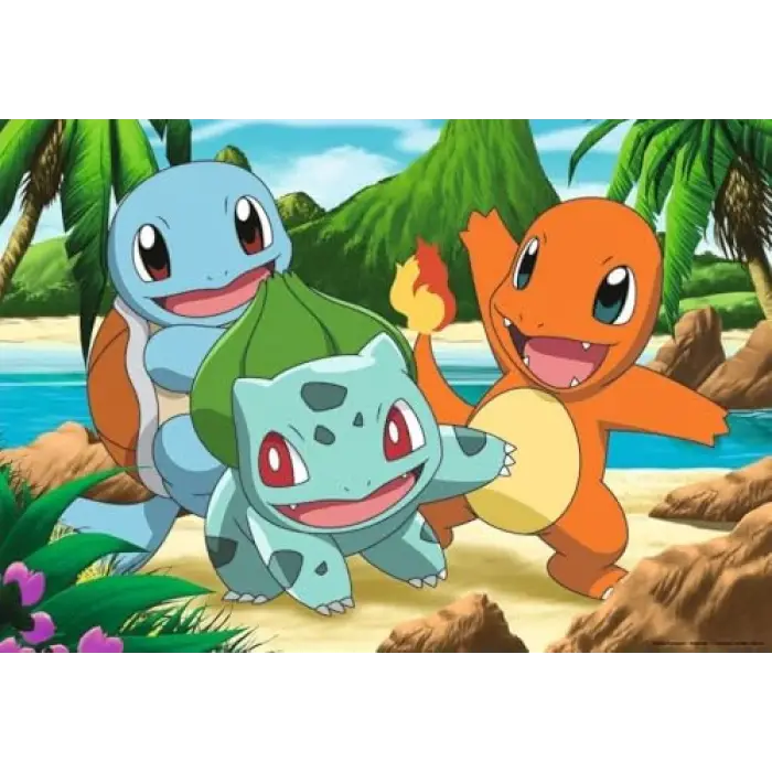 2x24 Parça Pokemon Puzzle