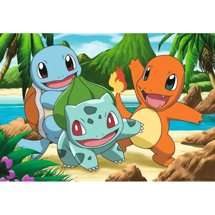 2x24 Parça Pokemon Puzzle