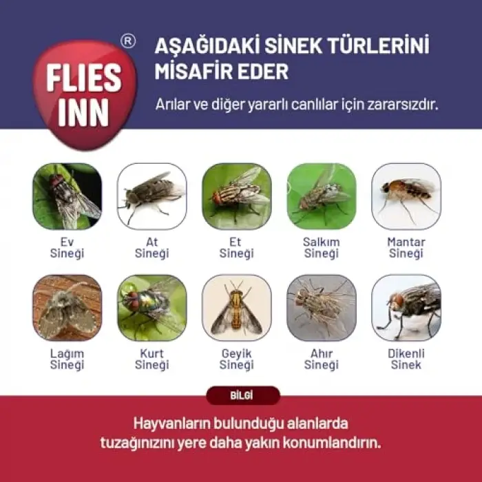 3 Adet Lite | Karasinek Tuzağı