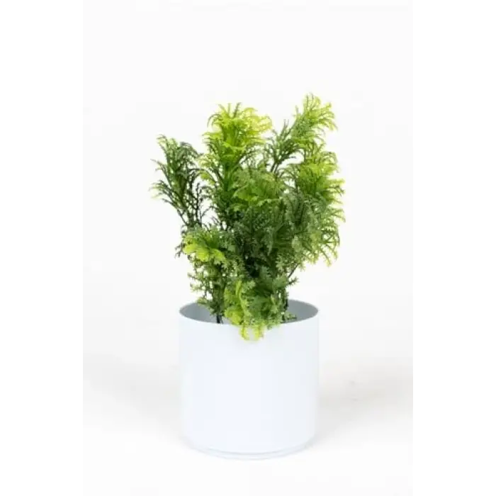 3 Adet Mini Beyaz Saksıda Çiçek Seti
