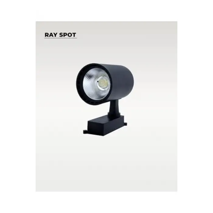 30W Siyah Ray Spot 4000K (Gün Işığı)