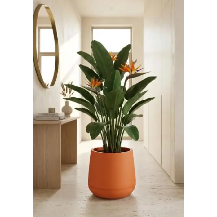 34x28 cm Turuncu Plastik Dekoratif Modern Tabak Saksı