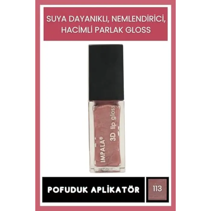 3D Lip Gloss Dudak Parlatıcı No:113