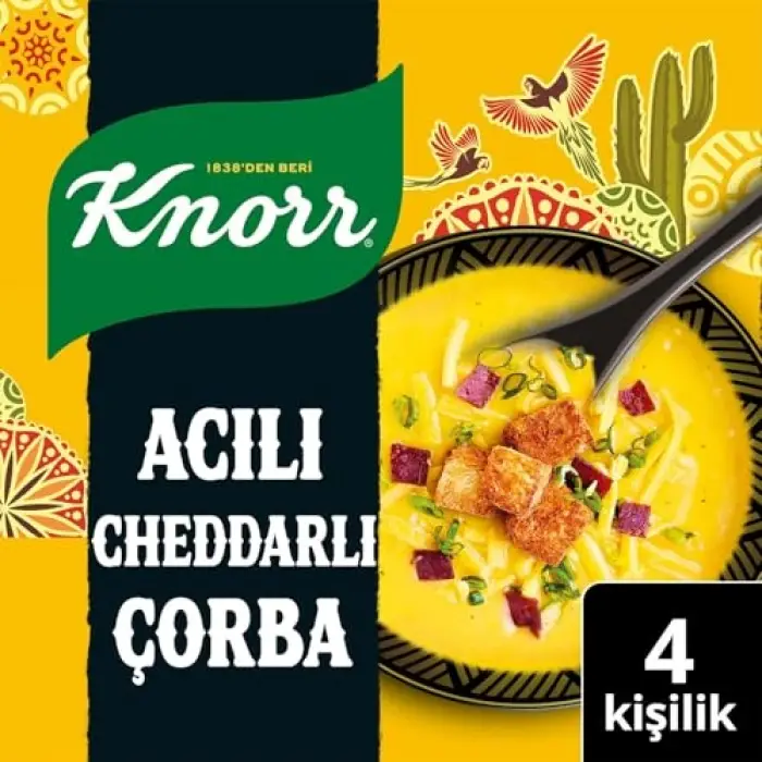 4 kişilik acılı cheddar çorbası, 74g