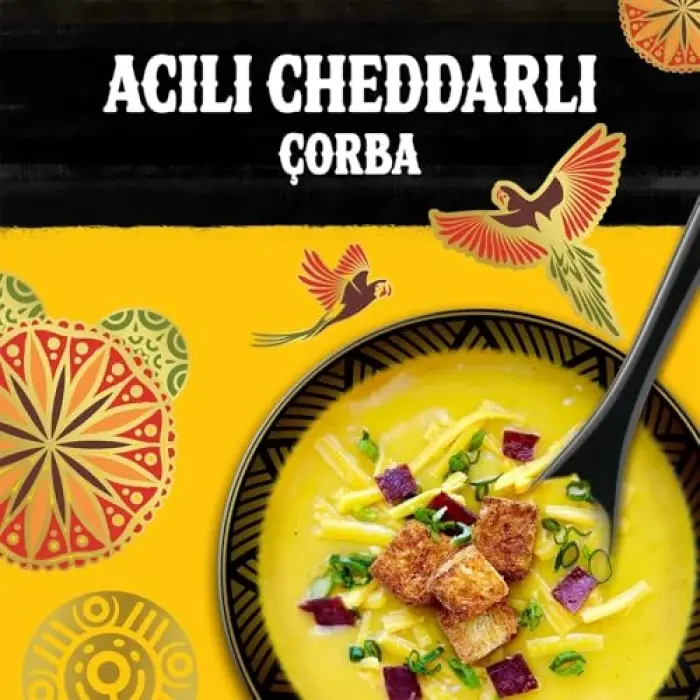 4 kişilik acılı cheddar çorbası, 74g