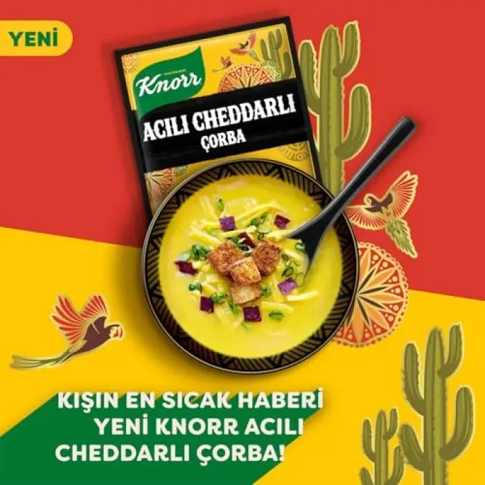 4 kişilik acılı cheddar çorbası, 74g