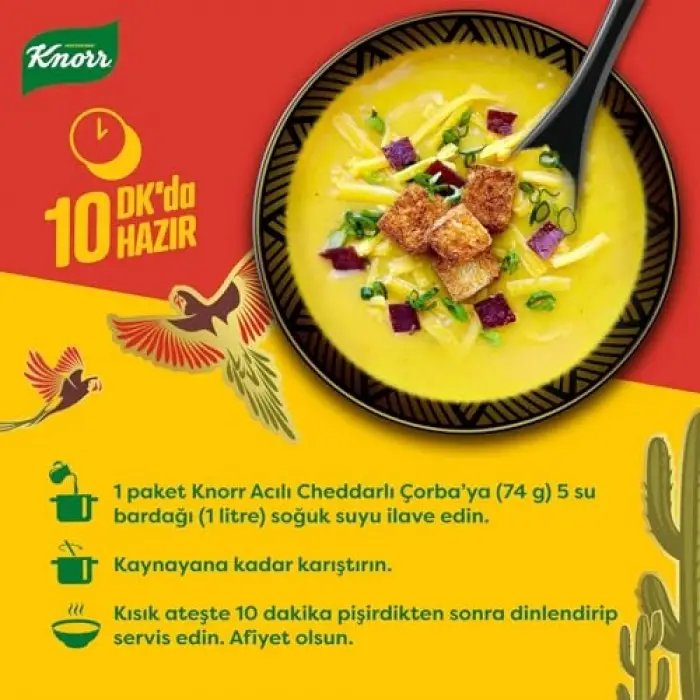 4 kişilik acılı cheddar çorbası, 74g