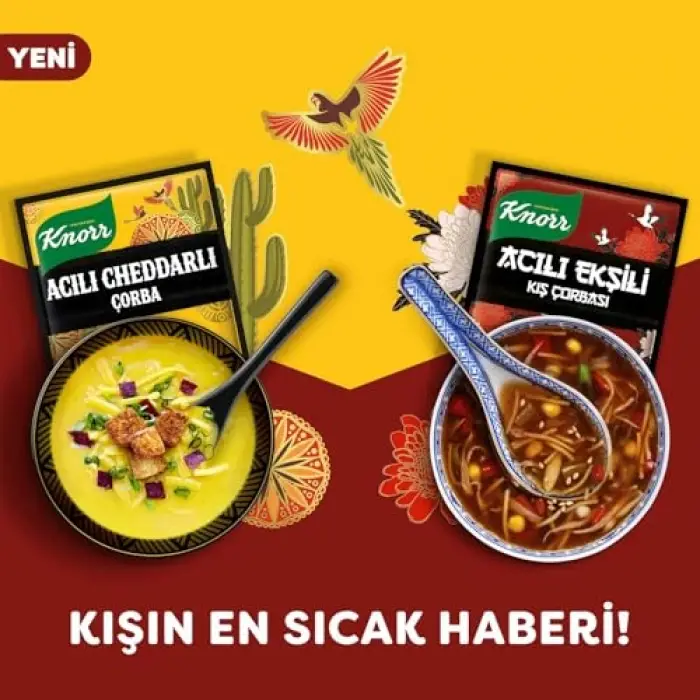 4 kişilik acılı cheddar çorbası, 74g