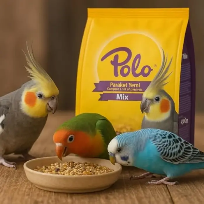400 g Paraket Kuş Yemi
