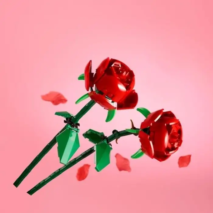 40460 Botanicals Gül Yapı Seti