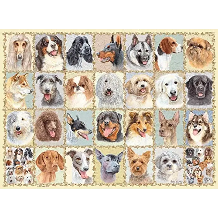 500 Parça Köpek Portreleri Puzzle