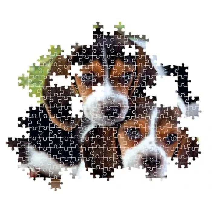 500 Parça Yüksek Kaliteli Koleksiyon Puzzle Close Together (Compact Box)