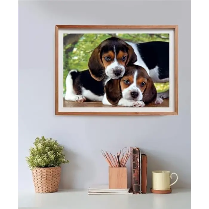 500 Parça Yüksek Kaliteli Koleksiyon Puzzle Close Together (Compact Box)