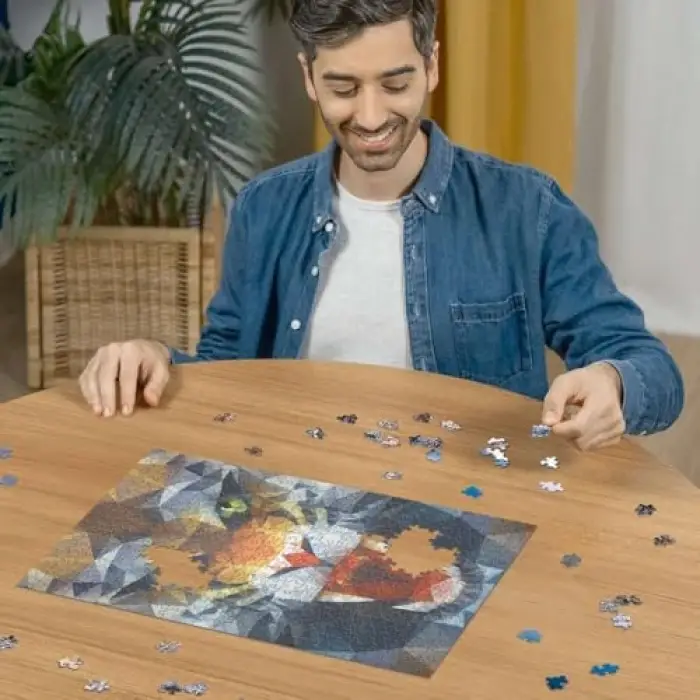 500p Puzzle Köşeli Aslan, Yapboz