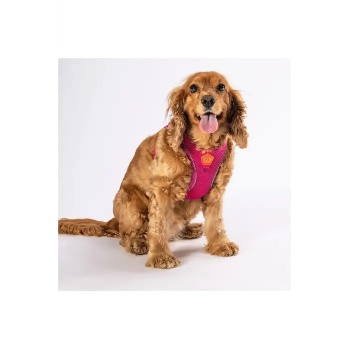 Fușya Air-mesh Kedi Köpek Göğüs Tasması Fușya XL