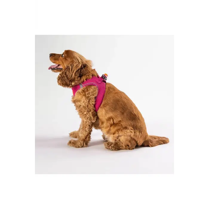 Fușya Air-mesh Kedi Köpek Göğüs Tasması Fușya XL