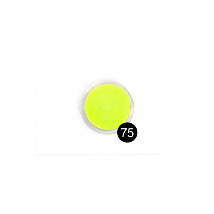 75 model sim