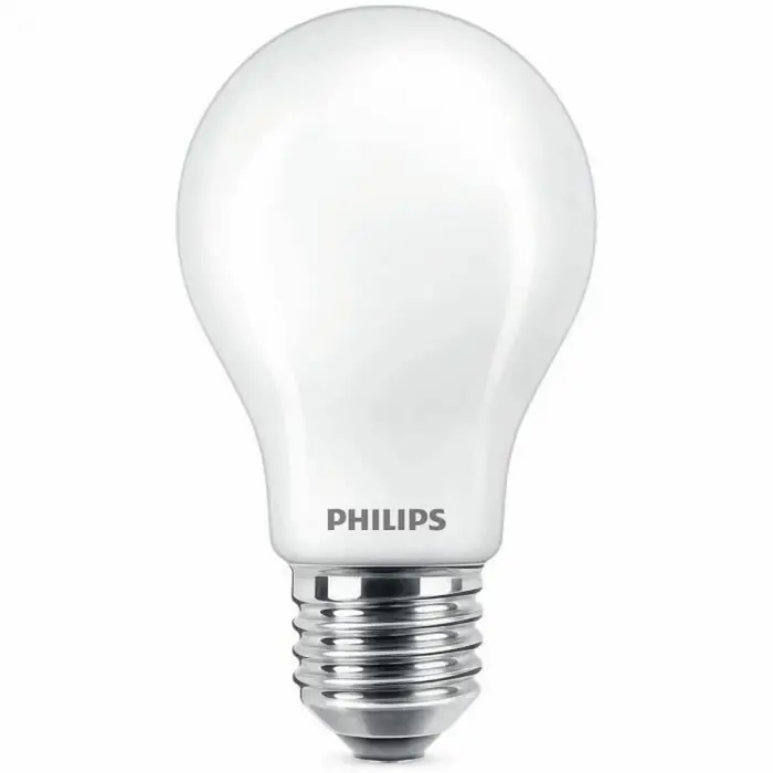 A60 E27 LED klasik ampul, 100W, FR WGD90 SRT4