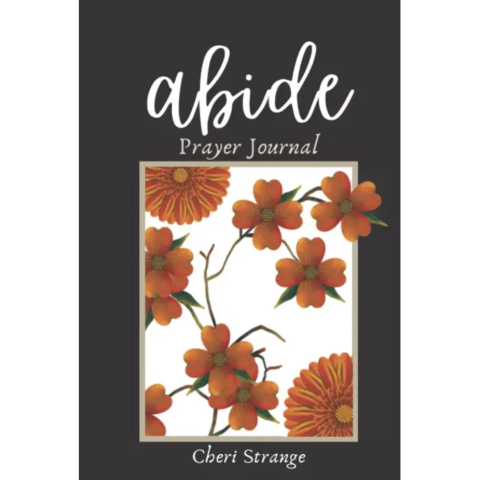 Abide Prayer Journal