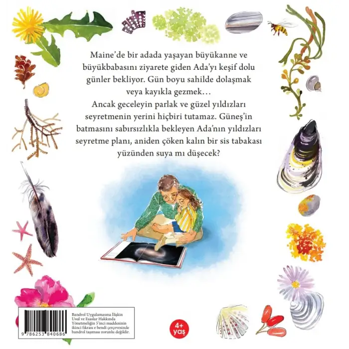 Ada ve Galaksiler