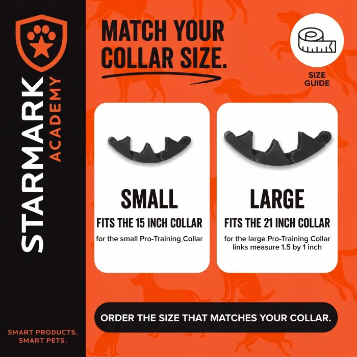 Add-A-Link Small Köpek Tasması