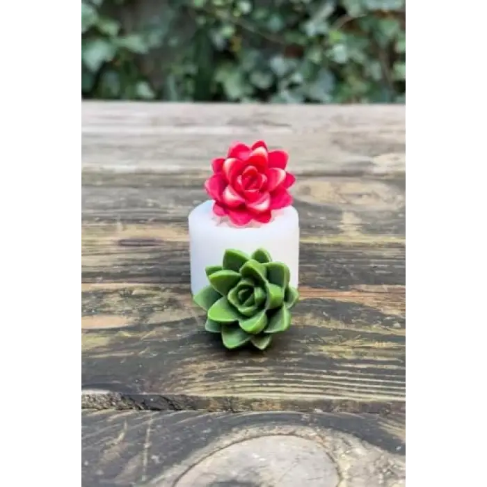 Agavoides Sukulent Mum Kalıbı (Silikon)