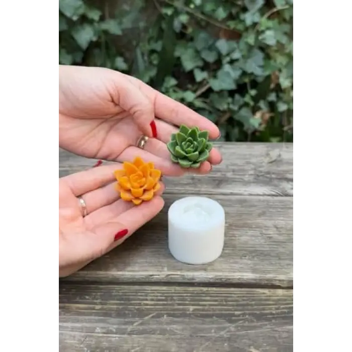 Agavoides Sukulent Silikon Mum Kalıbı