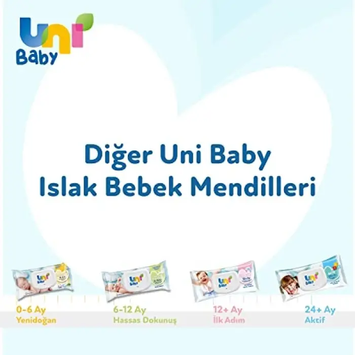 Aile Islak Mendil 12x90 1080 Yaprak