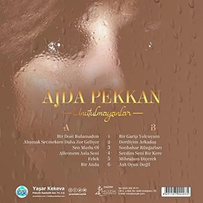 Ajda Pekkan Unutulmayanlar plak