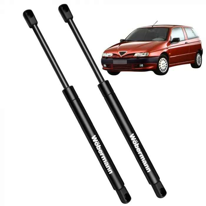 Alfa Romeo 145 Kromlu 3 Kapı 1994-2001 bagaj amortisörü takımı
