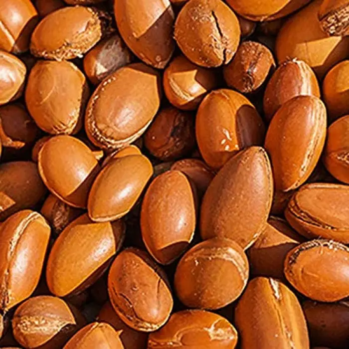 Argan Yağı 20 ml