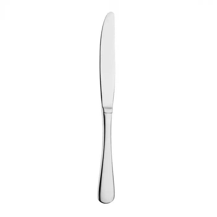Aryıldız Gastro 2li Yemek Bıçağı