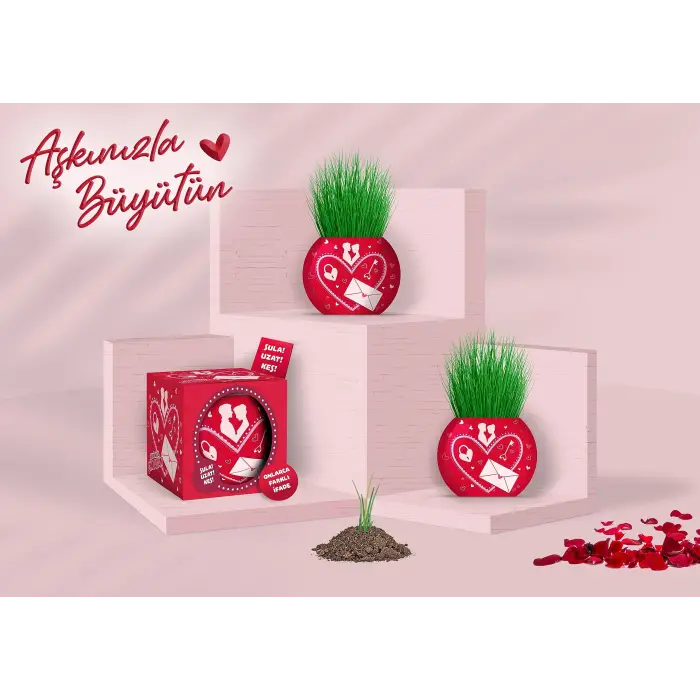 Aşk Temalı XL Çim Adam - 6lı Bitki Yetiştirme Seti