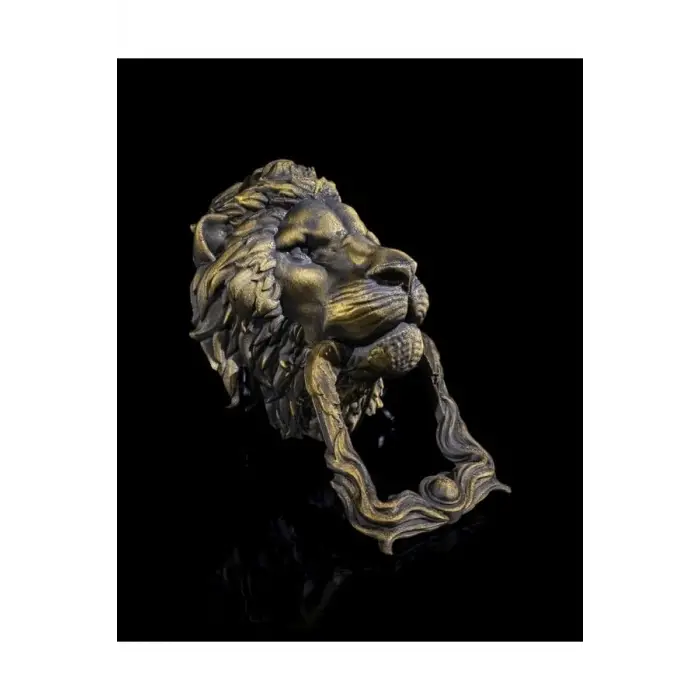 Aslan Kapı Tokmağı