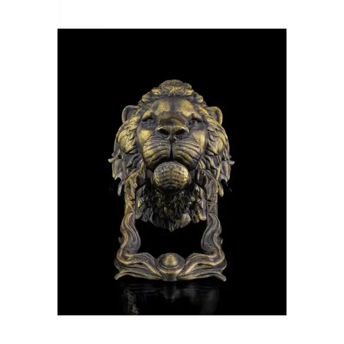 Aslan Kapı Tokmağı