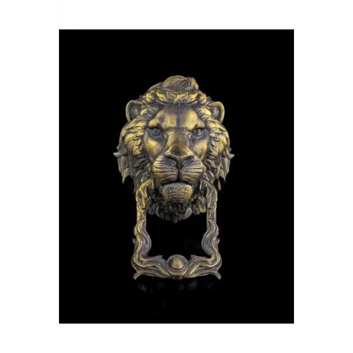 Aslan Kapı Tokmağı