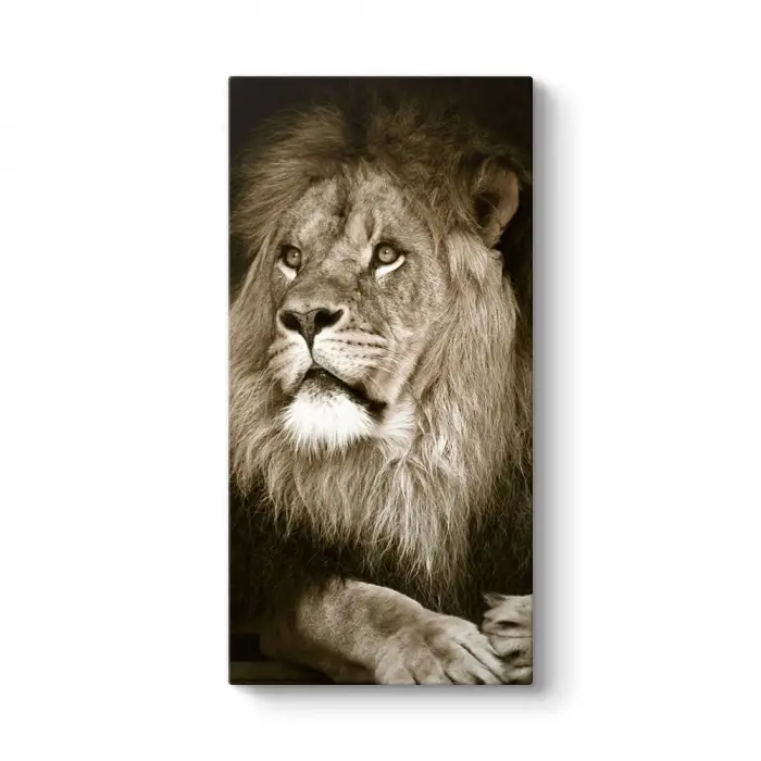 Aslan Tablosu 80 x 160