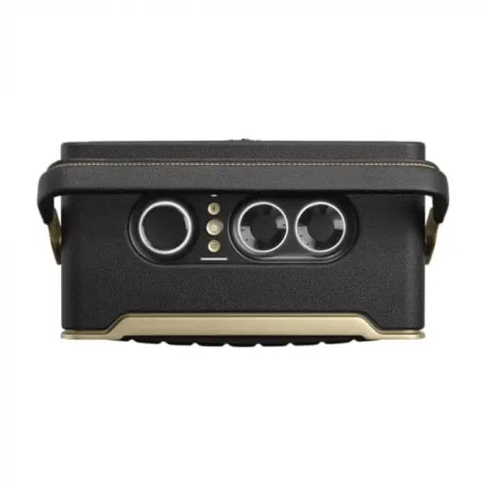 Authentic 300, Wireless Hoparlör, Siyah
