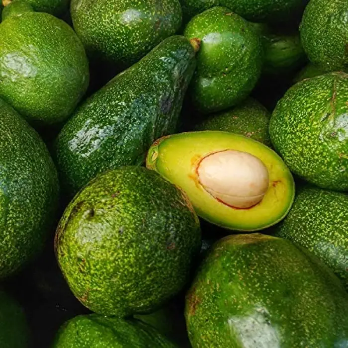 Avokado Yağı 20 Ml
