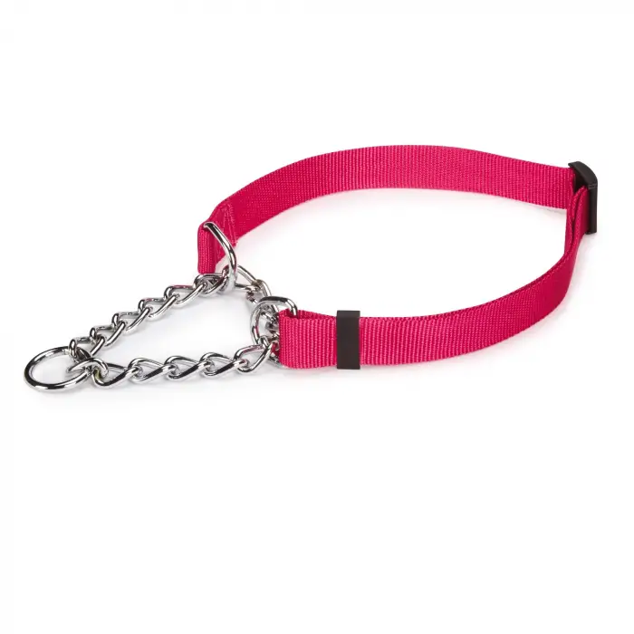 Ayarlanabilir Martingale Tarzı Köpek Boyun Tasması