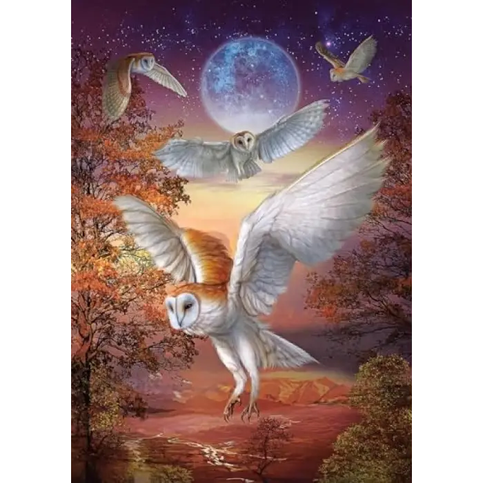 Ayışığı Baykuşları 1000 Parça Puzzle
