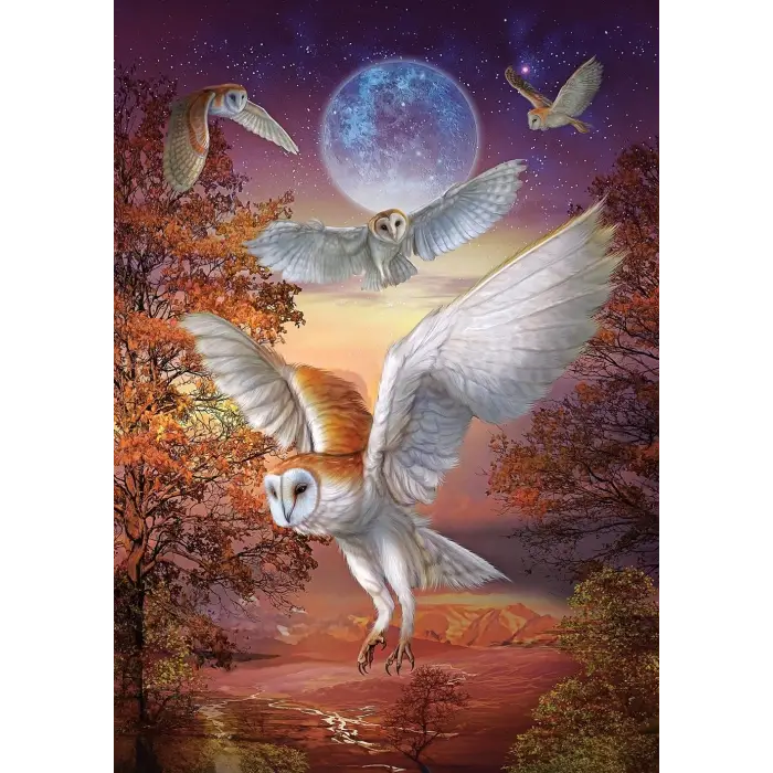 Ayışığı Baykuşları 1000 Parça Puzzle