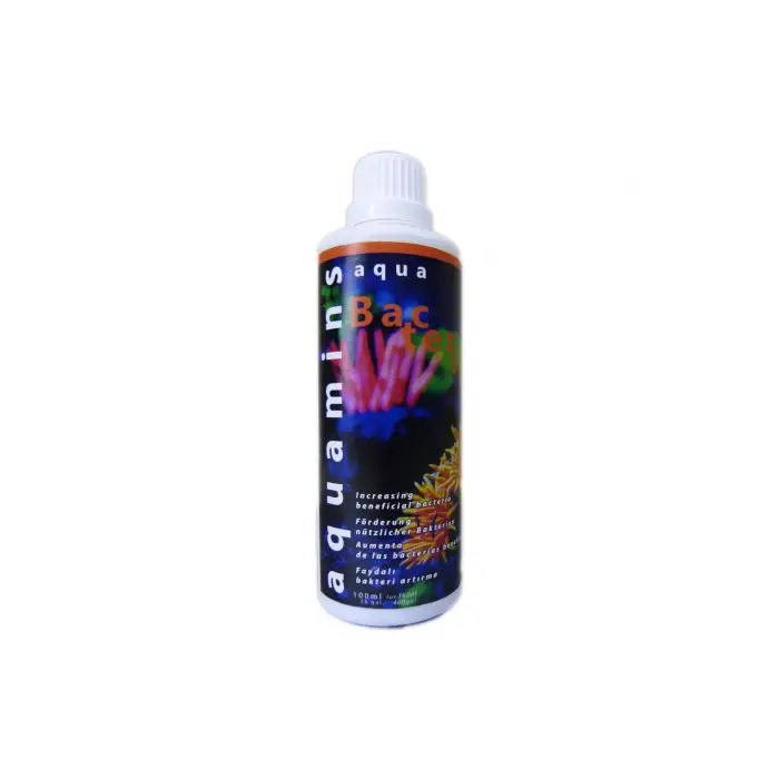 Bacteria Bakteri Düzenleyici 100 ml