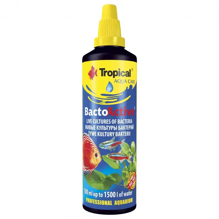 Bacto Active 100 ML
