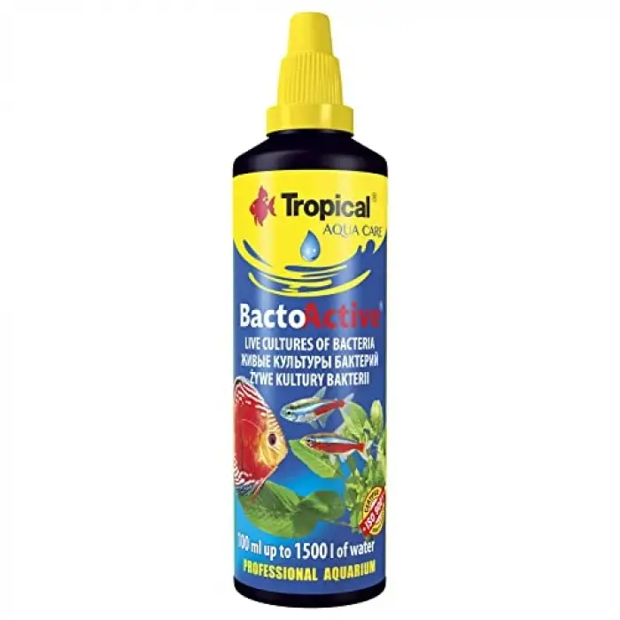 Bacto Active 100 ML