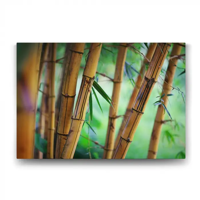 Bambu Ağaçları Tablosu - 125x80cm