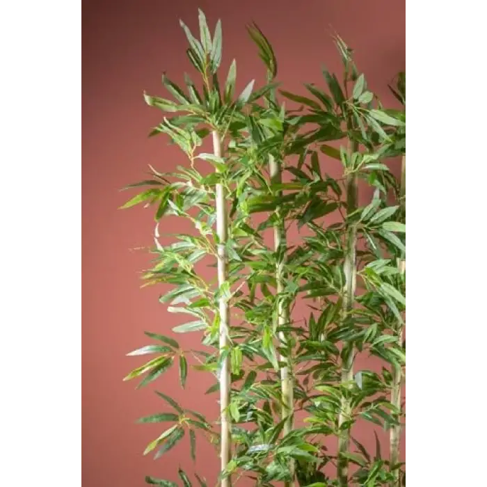 Bambu Seperatör 170 Cm Balkon Saksısı