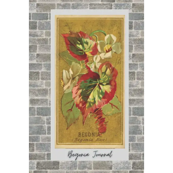 Begonia Günlük Defteri