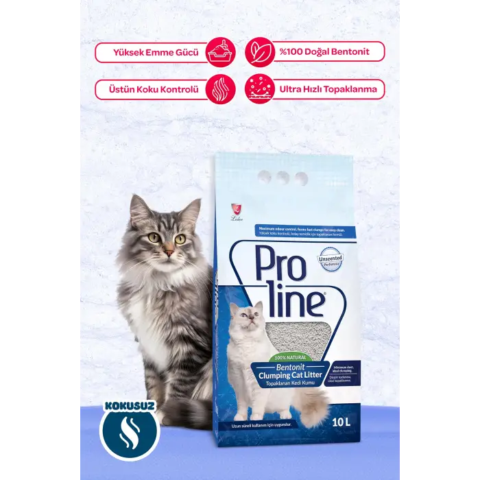 Bentonit Kedi Kumu, 10 L