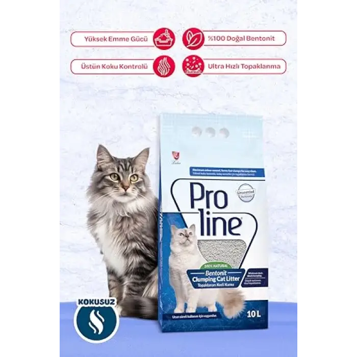 Bentonit Kedi Kumu, 10 L